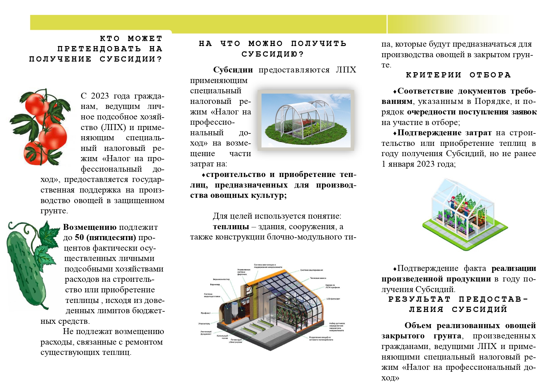 Информация для владельцев личных подсобных хозяйств, планирующих выращивать овощи и картофель.