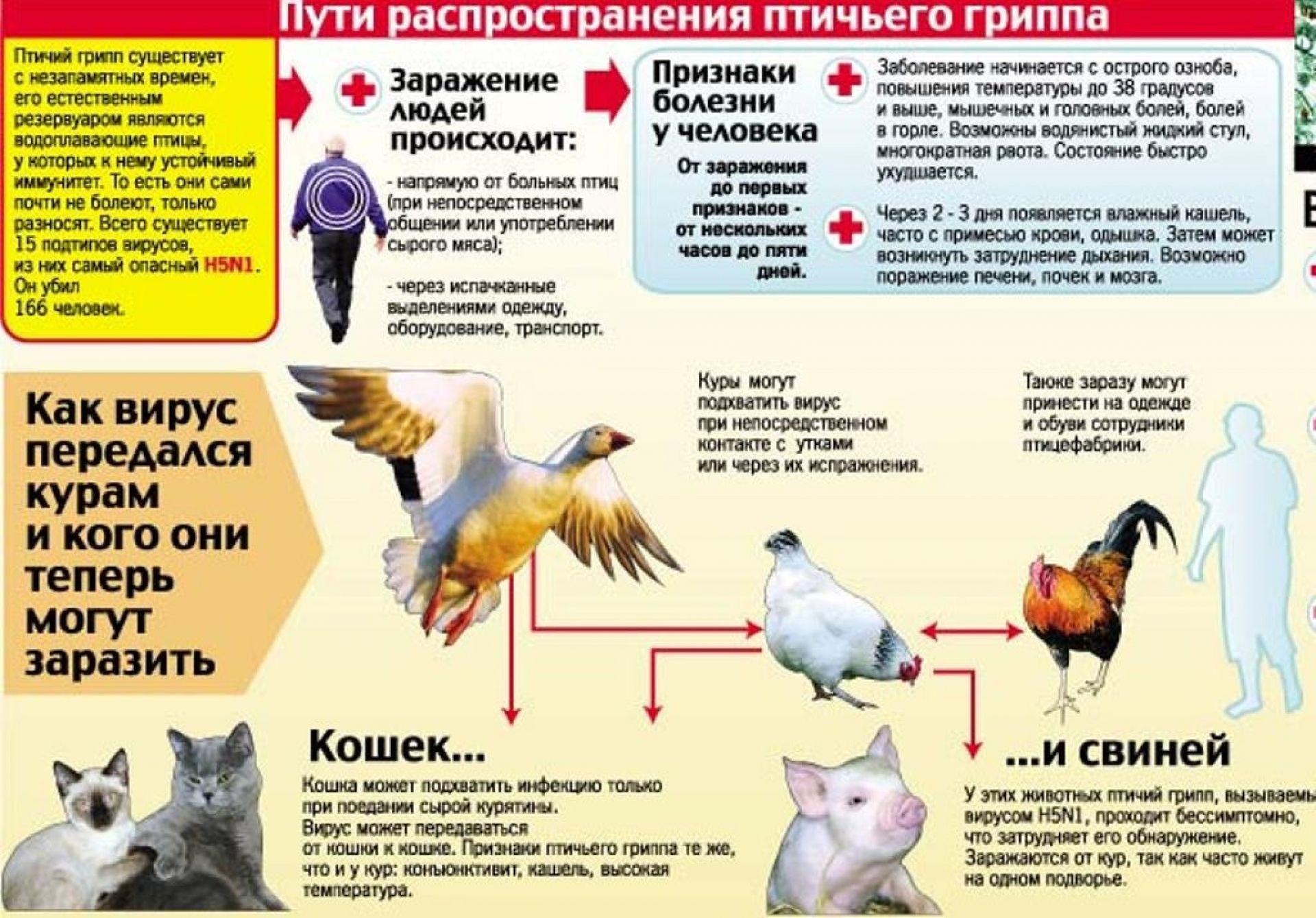 Памятка о мерах профилактики заразных, в том числе особо опасных и общих для человека и животных болезней.